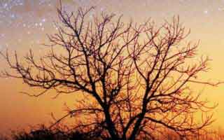 教你如何学会算八字