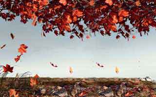 八字断流年技巧