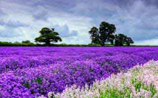 八字与起名注意事项