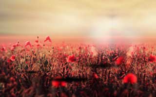 精神病的八字特征