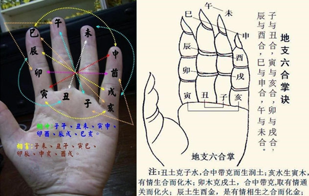 八字地支知识全解