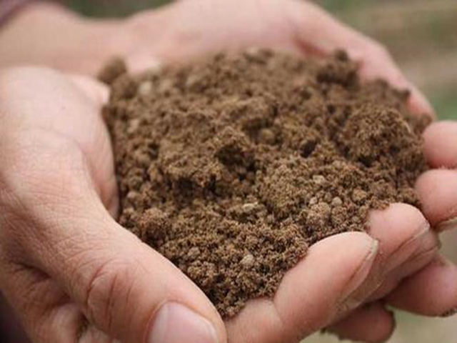 命中缺土怎么补