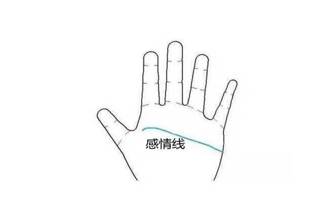 认识手相感情线