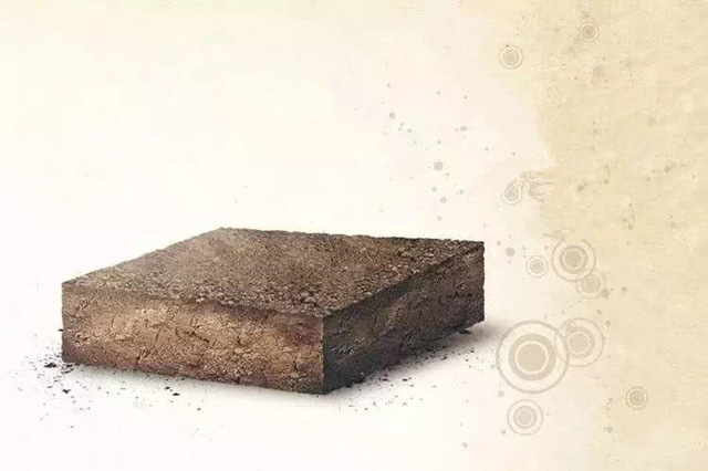 八字五行土精解