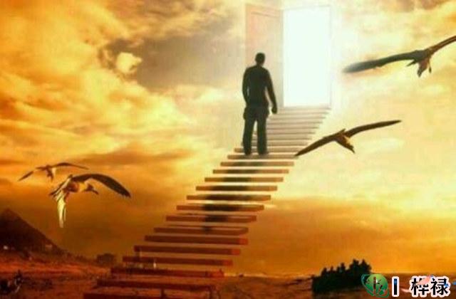 什么是财星为喜用神