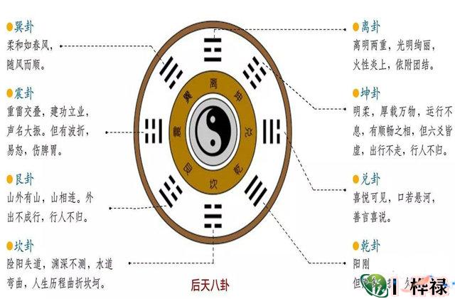 六爻八卦象义详解