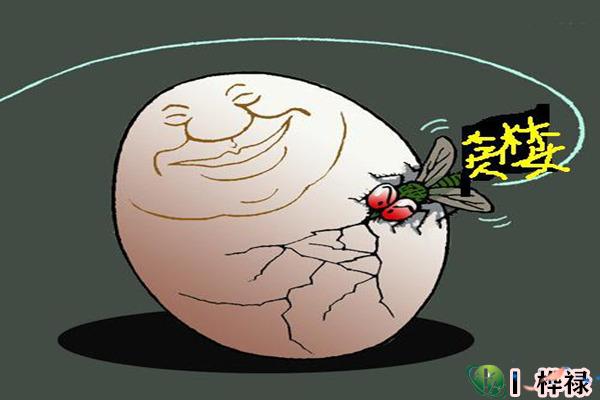 八字看贪婪小气之人