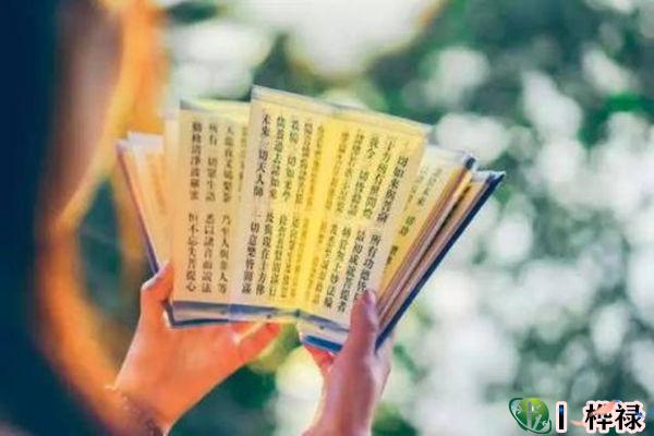 富贵命八字格局