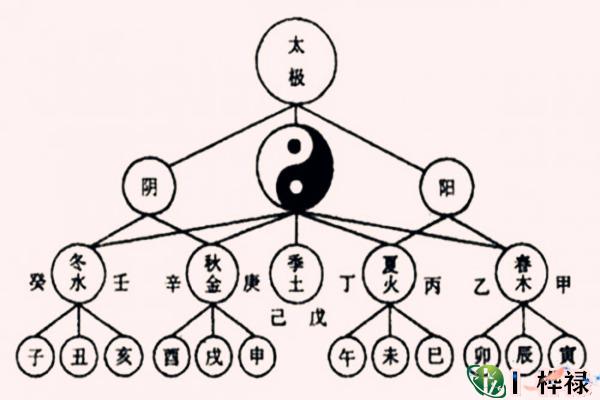 八字算命五行知识