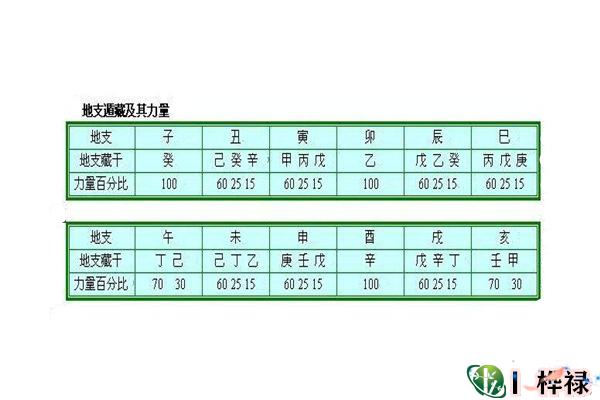 八字地支藏干的概念