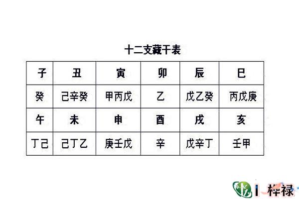 八字地支藏干的概念