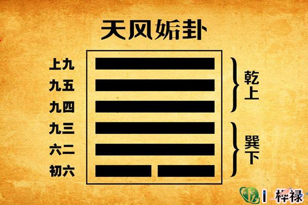 六十四卦：天风姤卦详解