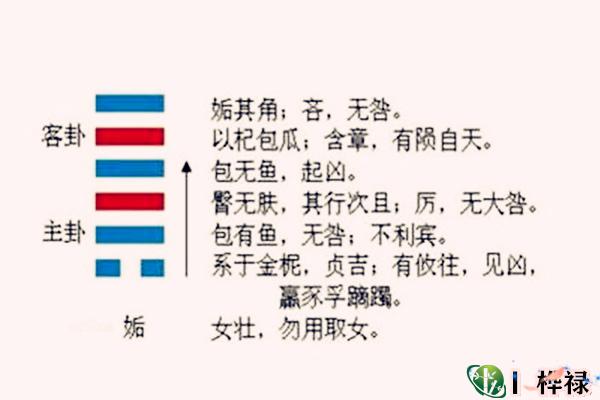 六十四卦:天风姤卦详解