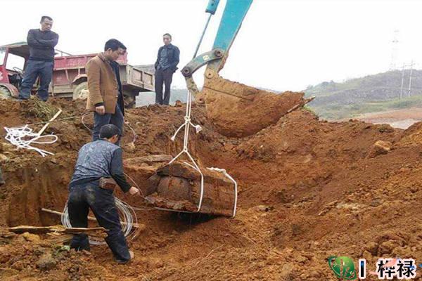 农村迁坟风水