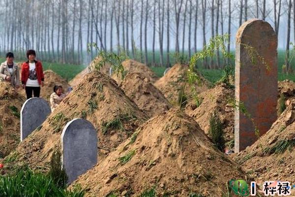 农村迁坟风水