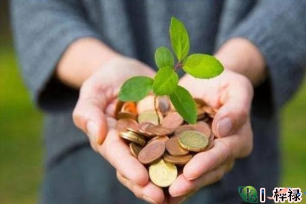 增旺偏财运方法