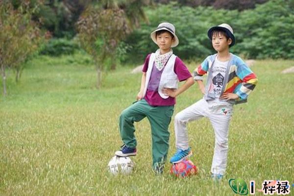 八字看兄弟能力