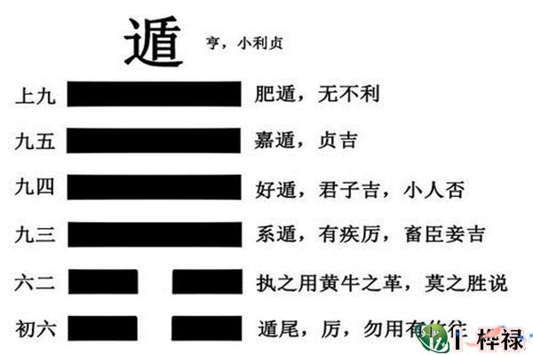 六十四卦：天山遁卦详解