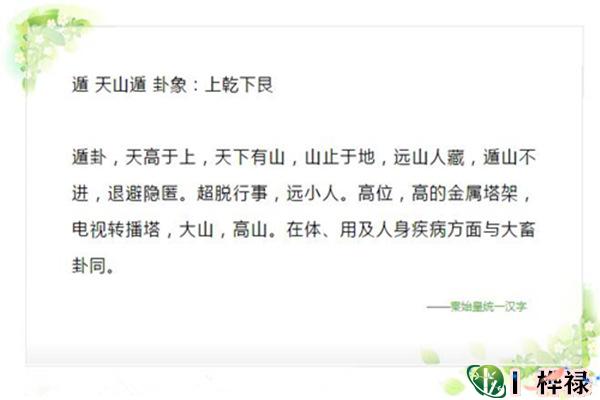 六十四卦:天山遁卦详解