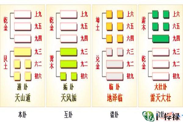 六十四卦:天山遁卦详解