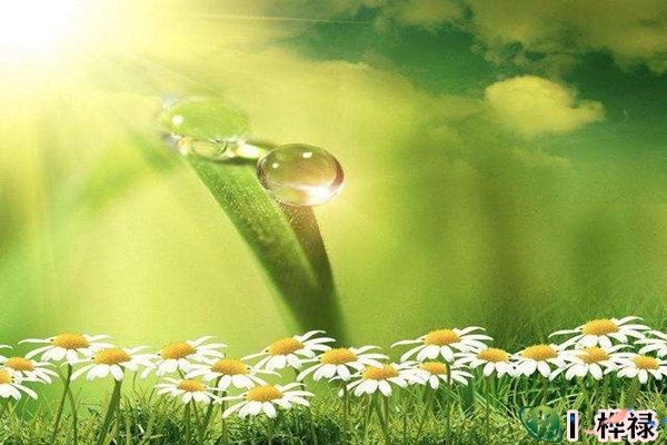 乙木日元生于各月