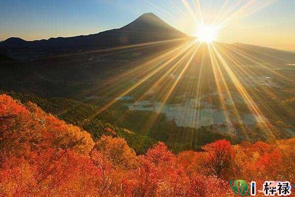 十天干丙火详解