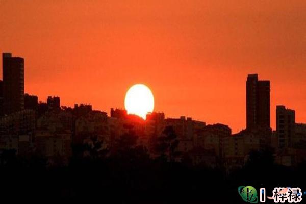 十天干丙火详解