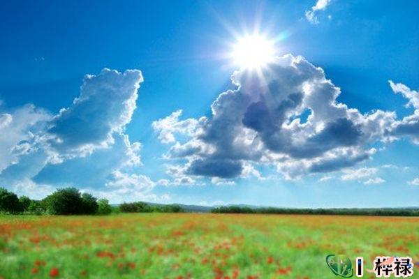 丙火日元生于各月