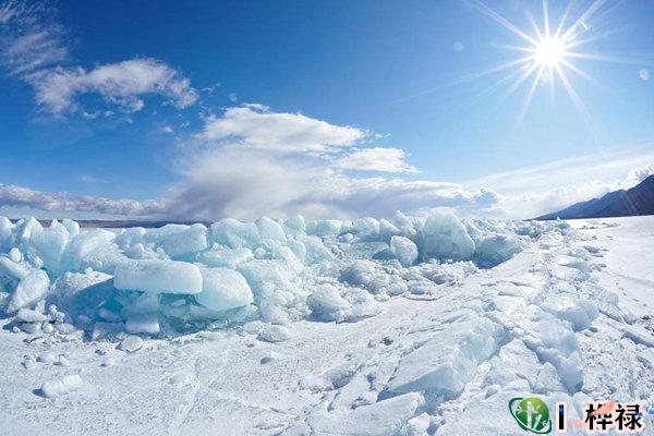 丙火日元生于各月