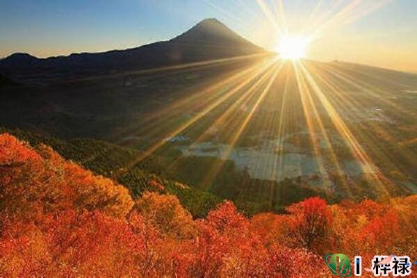 戊土日元生于各月