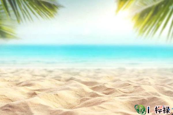 戊土日元生于各月