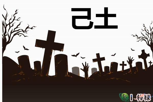 十天干己土详解