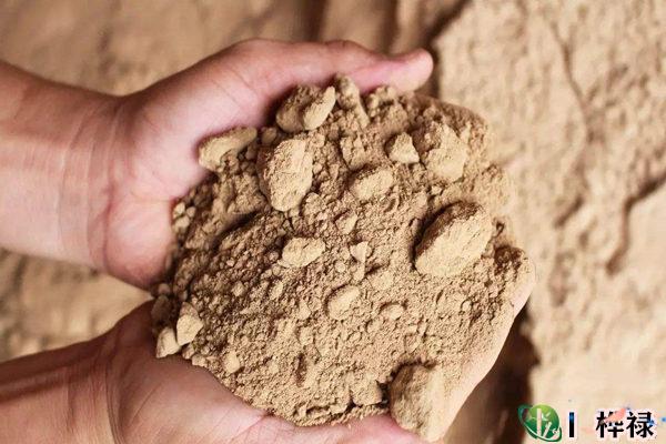 十天干己土详解