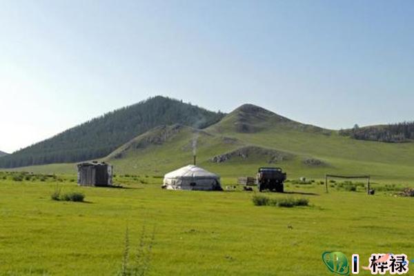 己土日元生于各月