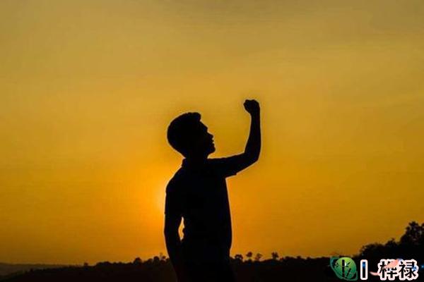 禄神入命的男命好吗