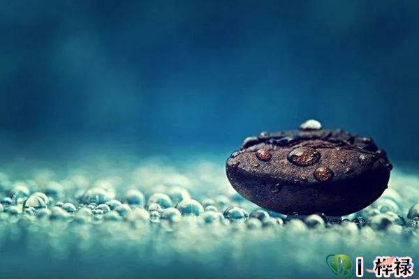 十天干壬水详解