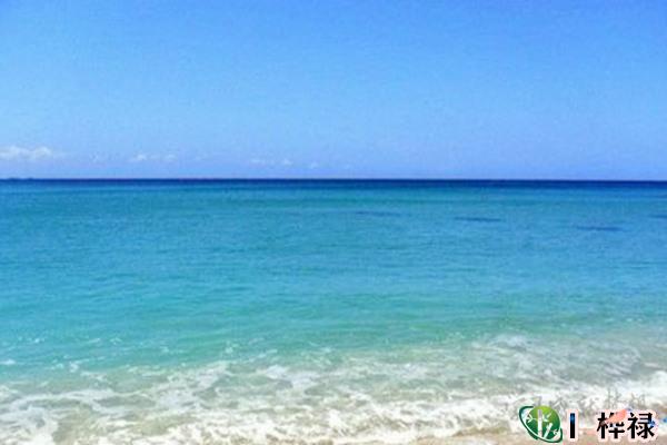 十天干壬水详解