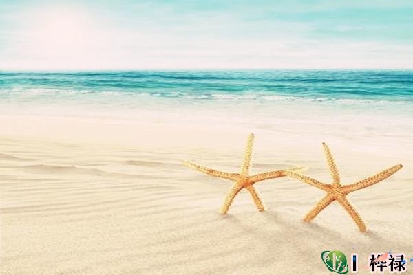 壬水日元生于各月