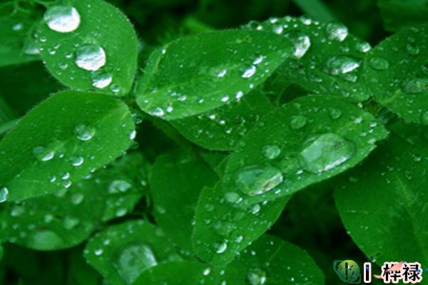 癸水日元生于各月