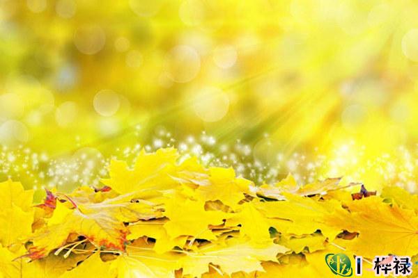 癸水日元生于各月