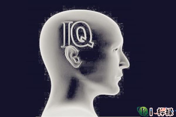 八字如何看智商