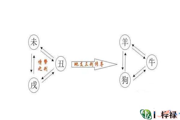 地支三刑遇贵条件