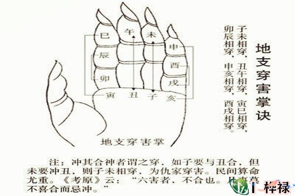 八字地支相害取象大全