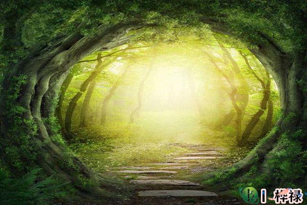 八字命宫是什么