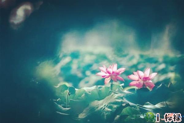 八字月令司令真神得用