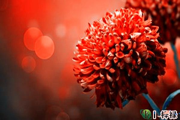 十年大运转运有什么征兆