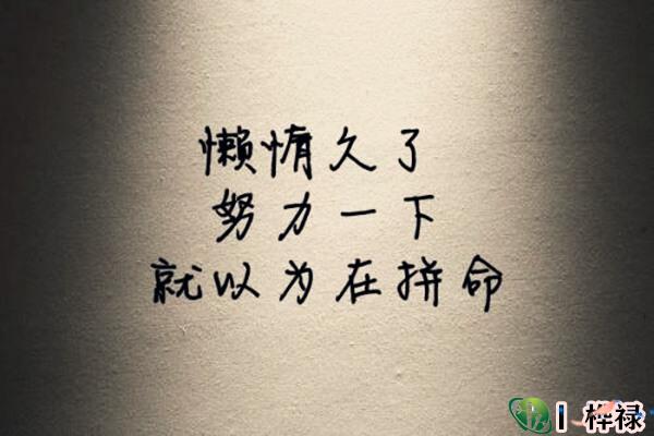 命中懒惰的标志