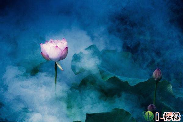 八字天干五合合化原则