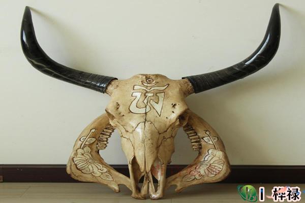 家里千万不能摆的不祥物