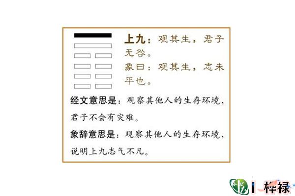 六十四卦:风地观卦详解